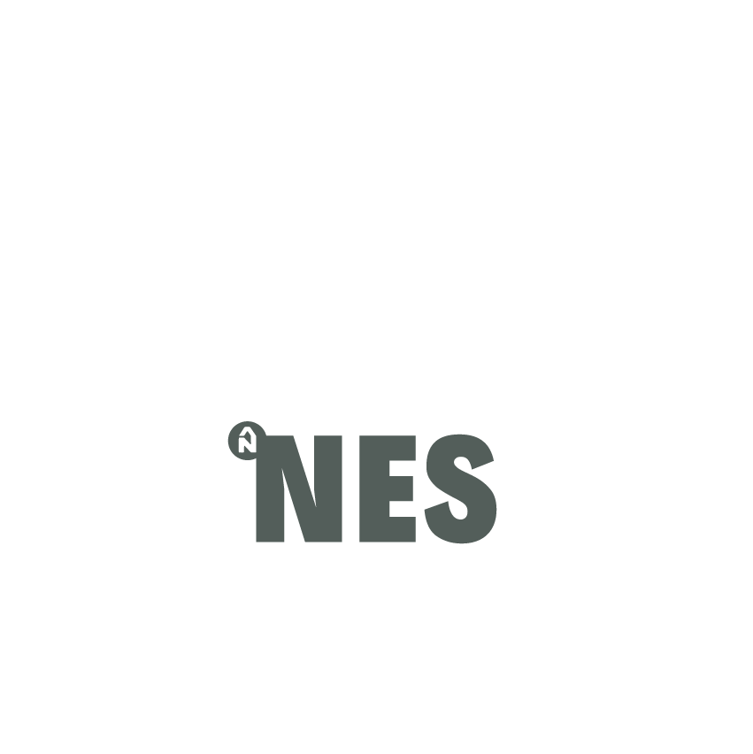 DesignNES.nl
